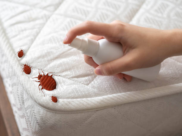 Best Pest Inspection Near Me  in Blossburg, PA