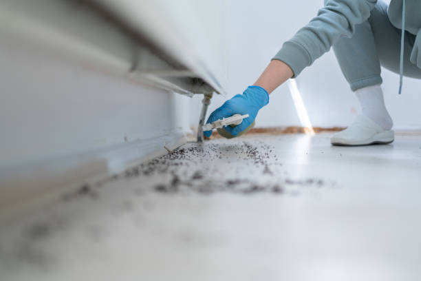 Best Affordable Pest Control Services  in Blossburg, PA